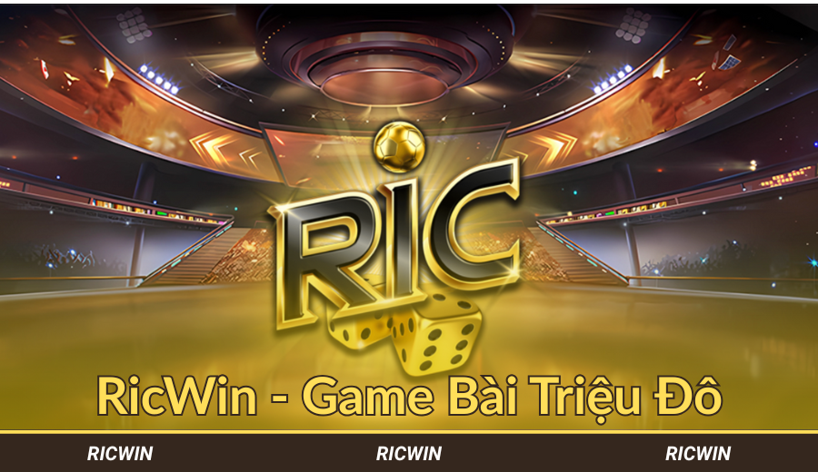 Đôi nét về Ricwin